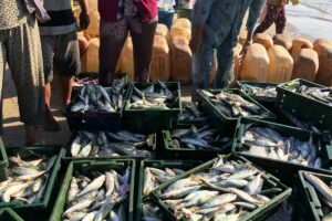 Pasar Pabean Surabaya, Pasar Ikan Sejak Zaman Kolonial Belanda yang Tidak Pernah Tidur