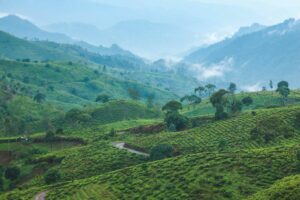 Label wisata elit Pangalengan itu bualan, selama transportasi umumnya masih jalan di tempat