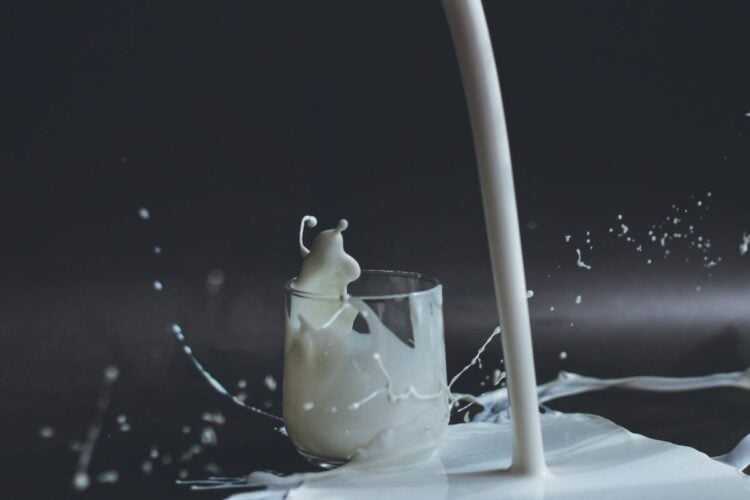 4 Susu Steril Indomaret dengan Kandungan Susu Sapi Segar, Nggak Perlu Khawatir Bahaya Asupan Gula Berlebih