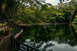 Wisdom Park UGM Dianggap Aman padahal Rawan