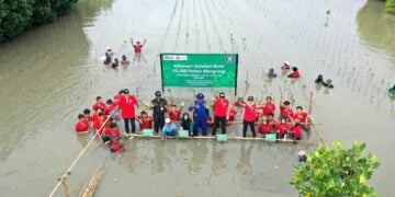 Merayakan Ulang Tahun dengan Tiup Lilin Itu Biasa, Alfamart dong dengan Tanam Mangrove