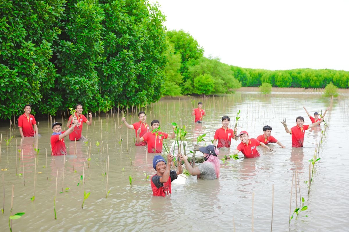 Alfamart tanam mangrove di Muara Gembong Kabupaten Bekasi