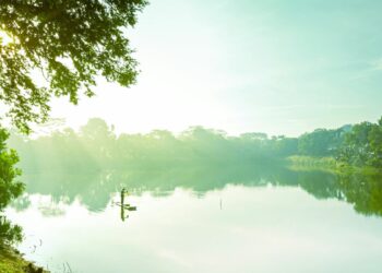 Andai Jadi Warga Tangerang Selatan, Saya Pasti Sudah Pusing Tujuh Keliling. Mending Resign Jadi Warga Tangsel!