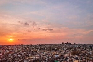 Taman Kali Tuntang Demak, Kali Bersejarah yang Jadi Taman Penuh Sampah