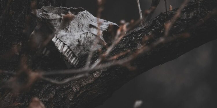 Jalan Srandakan Bantul, Jalur Mulus yang Diam-diam Menyimpan Maut. Mulus, Sepi, Bikin Terbuai!