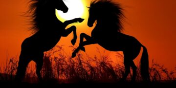 Konflik Grup Pencak Silat Tiap Tahun Selalu Terjadi, Nggak Bisa Selesai atau Nggak Mau Selesai?