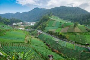 Tawangmangu, Pilihan Jalur yang Tepat untuk Pulang Kampung ke Ponorogo dari Solo