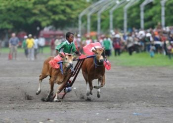 Hilangnya 9 Besi Penutup Got di Bangkalan Menegaskan kalau Orang Madura Memang Tak Layak Dibela