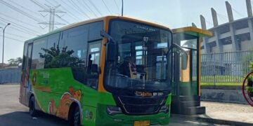 Trans Jatim: Bus Mungil yang Ekonomis dan Nyaman, tapi Nggak Ramah untuk Penumpang Pendek seperti Saya