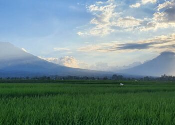 Kabupaten Temanggung Tampak Begitu Nyaman, namun Menyimpan Banyak Persoalan