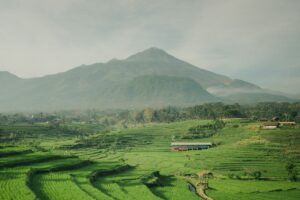 Trawas, Tempat Wisata Indah di Mojokerto namun Terkendala Kemacetan yang Nggak Ngotak