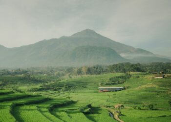 Trawas, Tempat Wisata Indah di Mojokerto namun Terkendala Kemacetan yang Nggak Ngotak