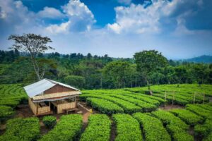 Begini Cara Saya Menjelaskan Letak Gondanglegi supaya Bisa Dipahami Warga Luar Kabupaten Malang