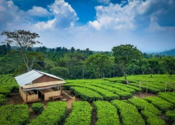 Begini Cara Saya Menjelaskan Letak Gondanglegi supaya Bisa Dipahami Warga Luar Kabupaten Malang