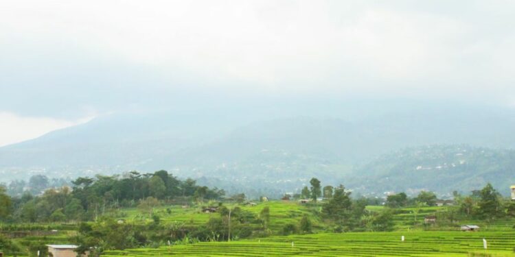 Karanganyar, Daerah Underrated di Jawa Tengah yang Nyaman untuk Ditinggali