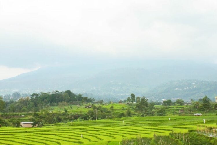 Karanganyar, Daerah Underrated di Jawa Tengah yang Nyaman untuk Ditinggali