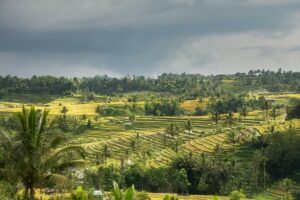 Benefit KKN di Kota Memang Banyak, tapi KKN di Desa Jauh Lebih Seronok. Apalagi di Desa Bumiayu Magelang!