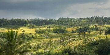 Desa Bumiayu Magelang, Desa Paling Seronok untuk KKN (Unsplash)