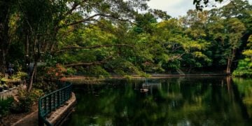 Wisdom Park UGM Nyatanya Tak Seindah di Media Sosial