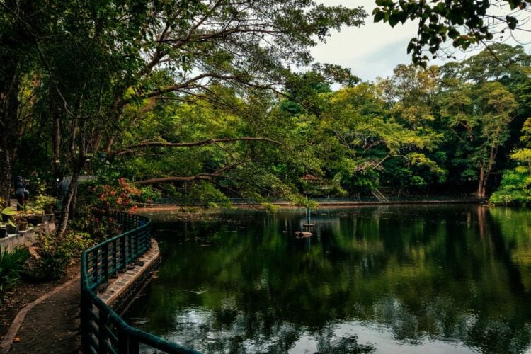 Wisdom Park UGM Nyatanya Tak Seindah di Media Sosial