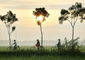 Hal-hal Menarik yang Ada di Desa Pujotirto Kebumen, Salah Satunya Pohon Jenitri yang Bikin Warga Kaya Raya