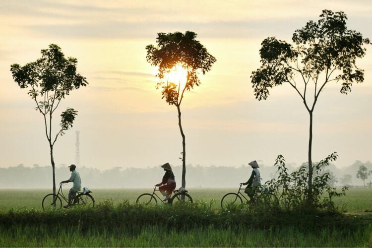 Hal-hal Menarik yang Ada di Desa Pujotirto Kebumen, Salah Satunya Pohon Jenitri yang Bikin Warga Kaya Raya