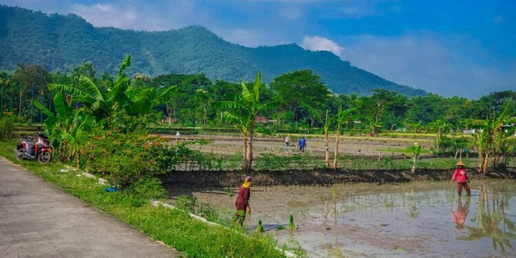 5 Hal yang Bikin Orang Jawa Timur Culture Shock Saat Pergi ke Bulukerto Wonogiri