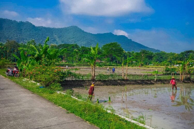 5 Hal yang Bikin Orang Jawa Timur Culture Shock Saat Pergi ke Bulukerto Wonogiri