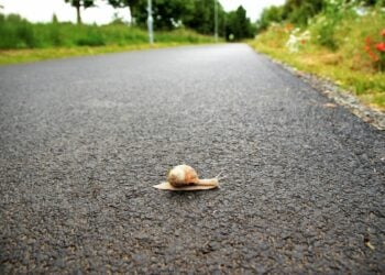 Jalur Boja-Sumowono, Jalan Tembusan ke Semarang yang Cocok untuk Uji Nyali dan Ketahanan Motor