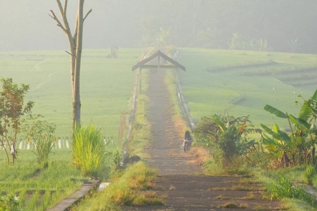 Kalibawang Kulon Progo, Daerah yang Dianggap Terbelakang dan Sepi, padahal Menawarkan Ketenangan Batin yang Paripurna