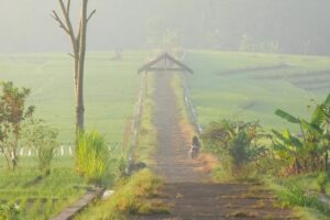 Kalibawang Kulon Progo, Daerah yang Dianggap Terbelakang dan Sepi, padahal Menawarkan Ketenangan Batin yang Paripurna