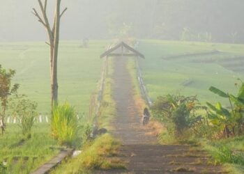 Kalibawang Kulon Progo, Daerah yang Dianggap Terbelakang dan Sepi, padahal Menawarkan Ketenangan Batin yang Paripurna