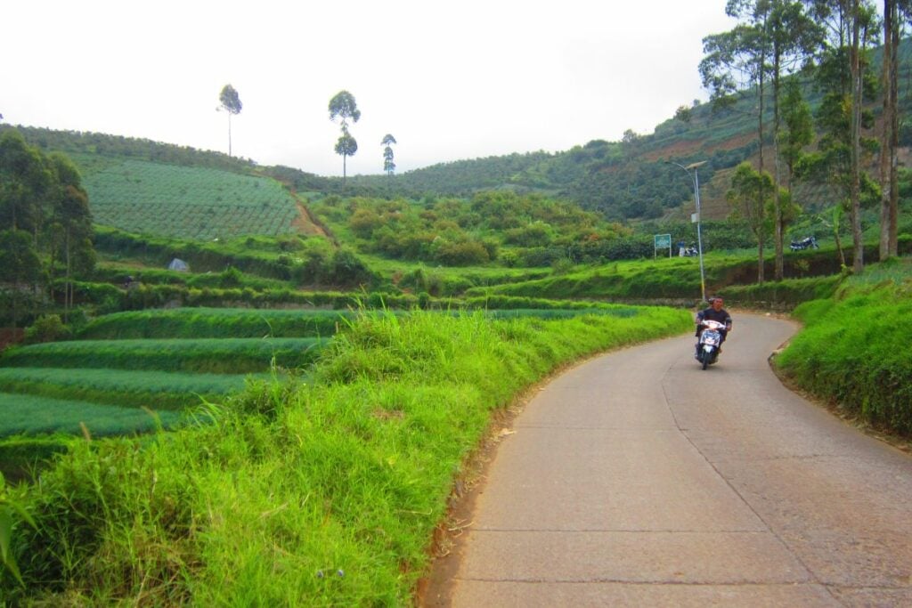 3 Hal yang Bisa Dibanggakan Kertasari, Kecamatan di Pelosok Kabupaten Bandung