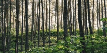 2 Gunung di Magelang yang Nggak Cocok buat para Pendaki