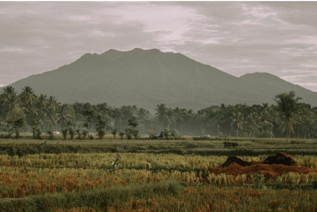 Srono, Tempat Terbaik untuk Menghabiskan Masa Tua di Banyuwangi