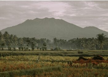 Srono, Tempat Terbaik untuk Menghabiskan Masa Tua di Banyuwangi