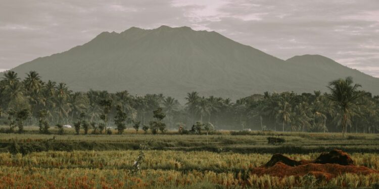 Srono, Tempat Terbaik untuk Menghabiskan Masa Tua di Banyuwangi