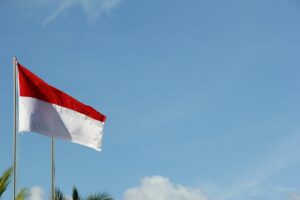 Mari Bersabar terhadap Potensi Lambatnya Kabinet “Gemoy” Merah Putih Prabowo-Gibran