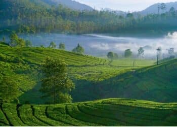 Kecamatan Rancabali, Tempat Slow Living Terbaik di Kabupaten Bandung