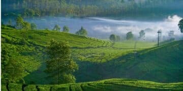 Kecamatan Rancabali, Tempat Slow Living Terbaik di Kabupaten Bandung