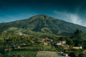 Oleh-oleh Khas Magelang yang Perlu Kamu Ketahui biar Tahunya Nggak Cuma Getuk