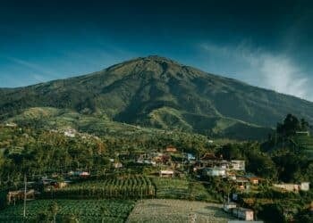 Oleh-oleh Khas Magelang yang Perlu Kamu Ketahui biar Tahunya Nggak Cuma Getuk