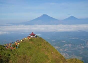 3 Oleh-oleh Magelang yang Sebaiknya Nggak Dibeli, Nekat Beli Tanggung Sendiri Risikonya