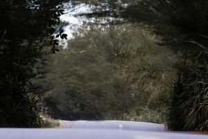 Panduan Memahami Kecamatan Kasihan Bantul: Meskipun Aneh, tapi bukan Pedalaman!