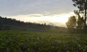 Alasan Orang Bandung Menghindari Plesir ke Lembang 