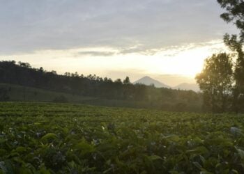 Alasan Orang Bandung Menghindari Plesir ke Lembang Mojok.co