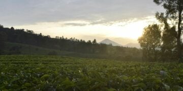 Alasan Orang Bandung Menghindari Plesir ke Lembang Mojok.co