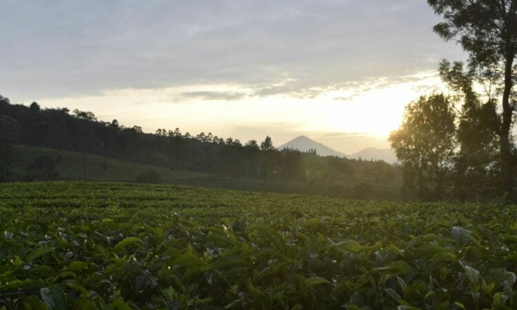 Alasan Orang Bandung Menghindari Plesir ke Lembang Mojok.co