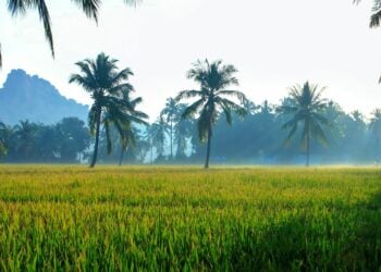 3 Alasan Tinggal di Bangunjiwo Bantul Semakin Tidak Nyaman Mojok.co