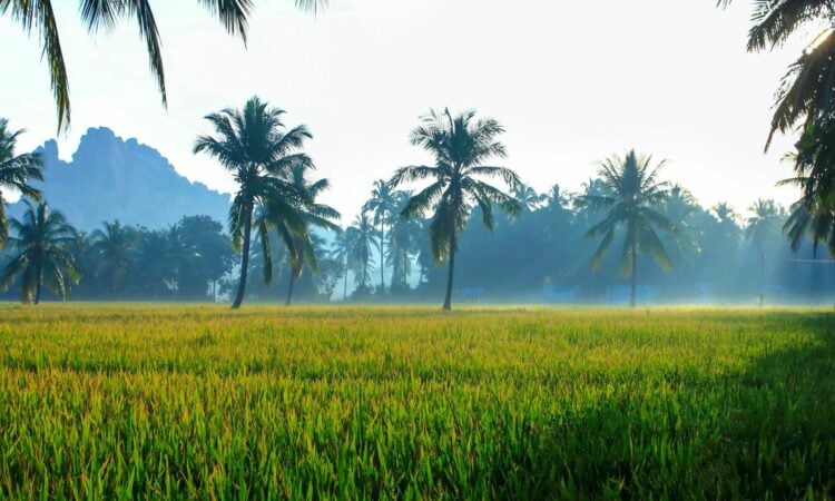 3 Alasan Tinggal di Bangunjiwo Bantul Semakin Tidak Nyaman Mojok.co